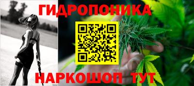стаф Тара